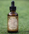 Quiet Root: Evening Ritual for Rest & Nervous System Support(Pre-Order)